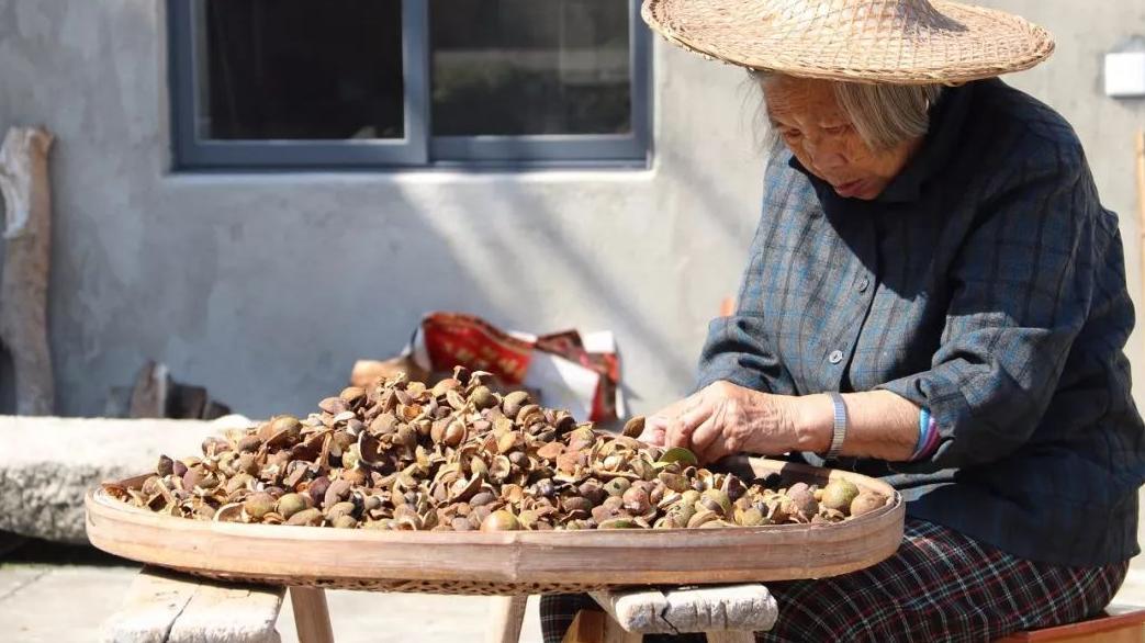 奶兔故事会|68岁大妈哭诉：再婚后老伴每月给我8千生活费，我却想要离婚了