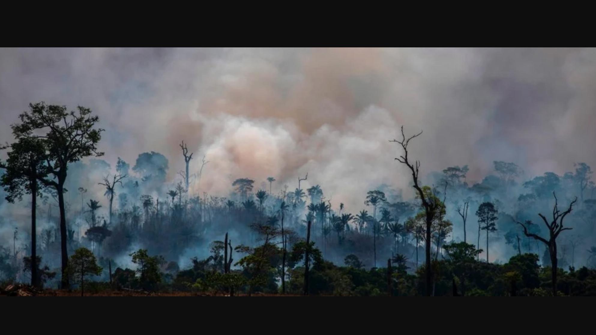 太空 “反转”的亚马逊雨林：二氧化碳排放的比吸收的更多