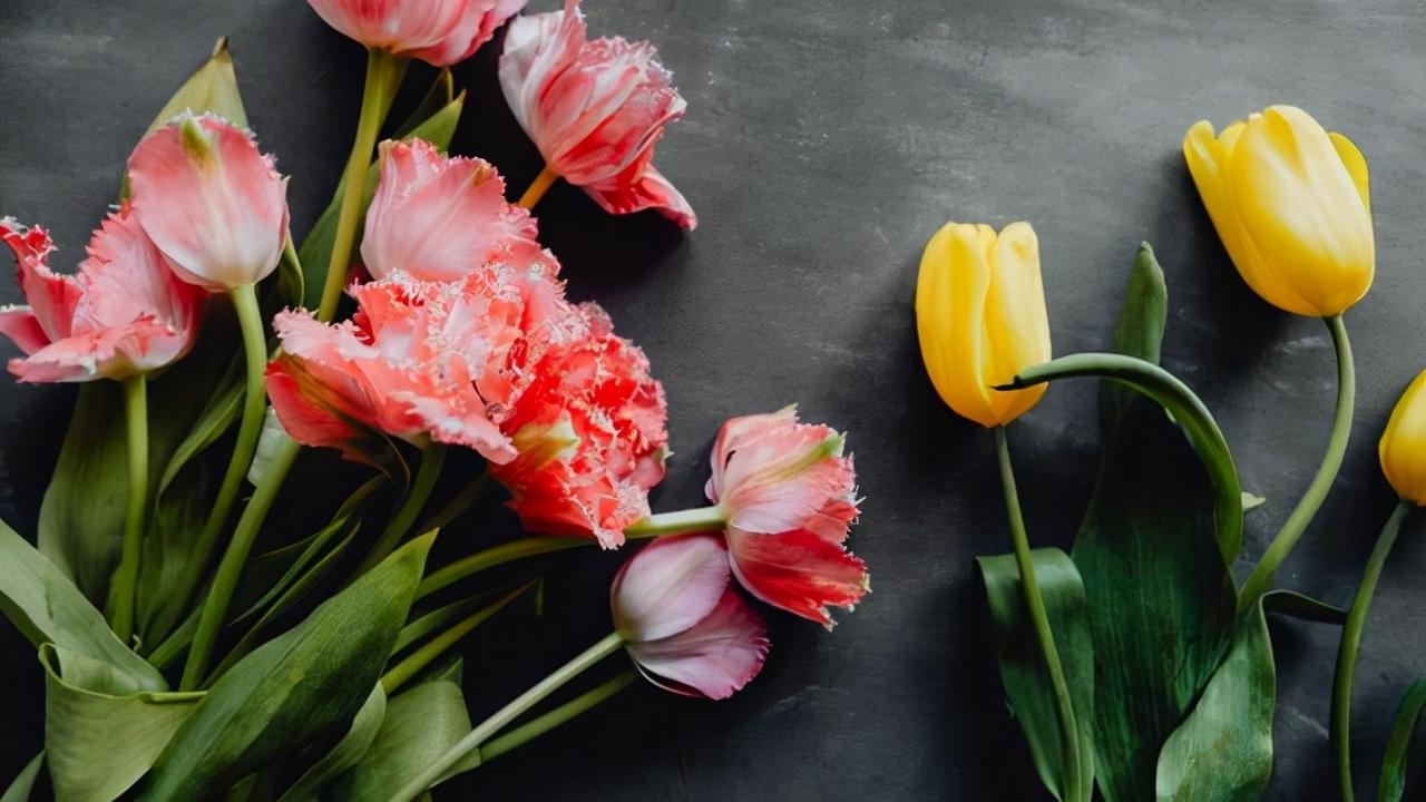 仲念念 凤凰男让女友把房子过户给父母：你是独生女，岳父母家产都是我的