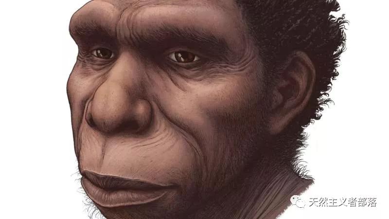 命名人类祖先的新物种
