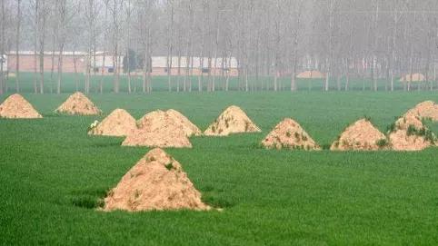 阴宅风水：形峦三十六绝