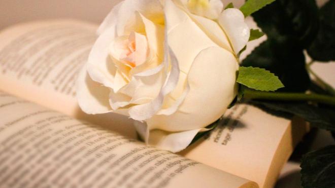 昕月蓝殇美文苑|等待，一场命中注定的相逢