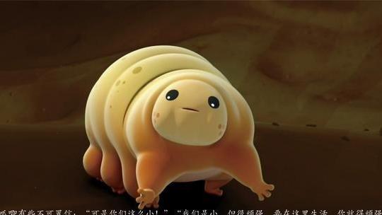 何沐青谈|何谓生命的顽强？水熊虫：跨越350度的温差夏生存，也曾登陆太空?