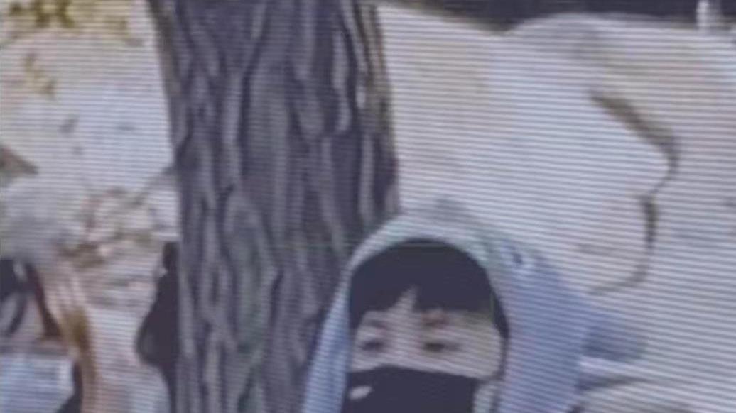 鹿晗 鹿晗剪发vlog流出，原以为换发型后会变丑，没想到低估了他的颜值