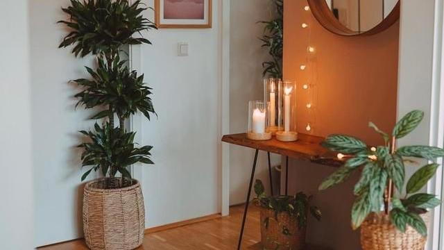 这位德国女主，一人独居，悠闲自在，99平小家温馨精致，超治愈！