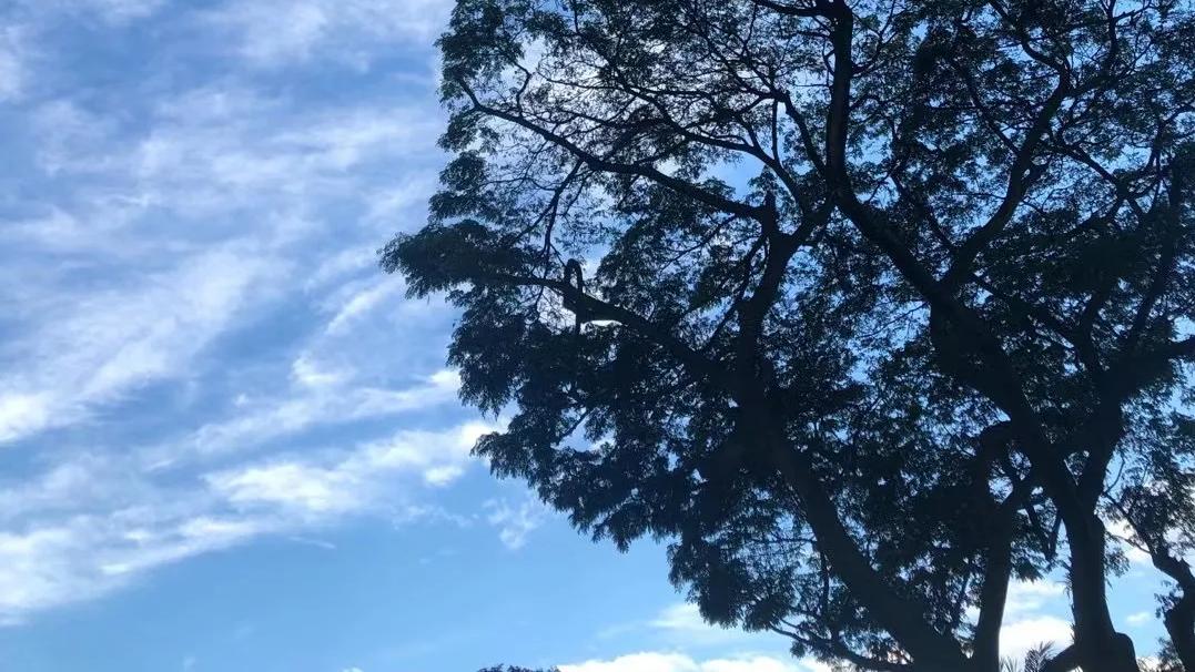 2021年第一缕阳光终于出现！新加坡的蓝天白云刷屏啦～