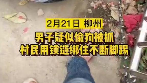社会消息 ?偷狗被抓！广西男子被铁链拴在栏杆上众人喊打，有人猛踹