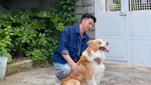 四月天的初见|林生斌再婚生女疑移居国外，上亿赔偿款不分岳父母是怕他们给儿子