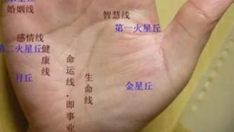 诚然情感之事|手相看你一生的运势
