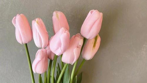 卜师傅八字命理|命理正缘，与晚婚命，的几点看法