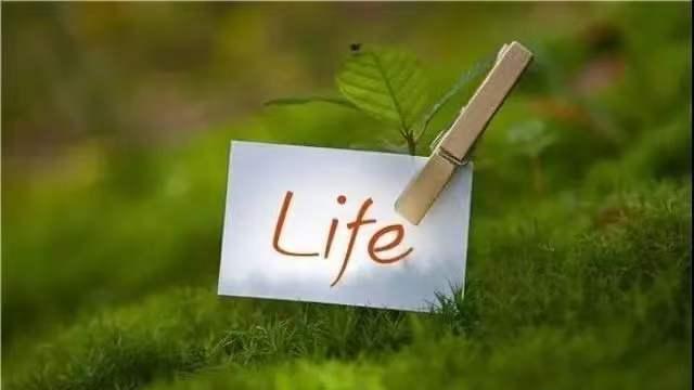 学习生活小技巧