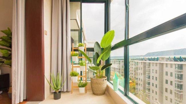 厦门装修公司，阳台异味难消怎么办？