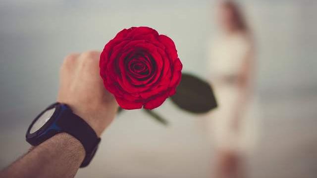 时光了了|他不爱你，就算了吧，别勉强