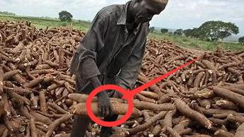 肉夹馍|平时看不到的非洲食物，我吃了一口说不出话来了。