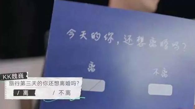 爱会看见|《再见爱人》KK首次要离婚，相爱不能相处：婚姻有太多事比爱重要
