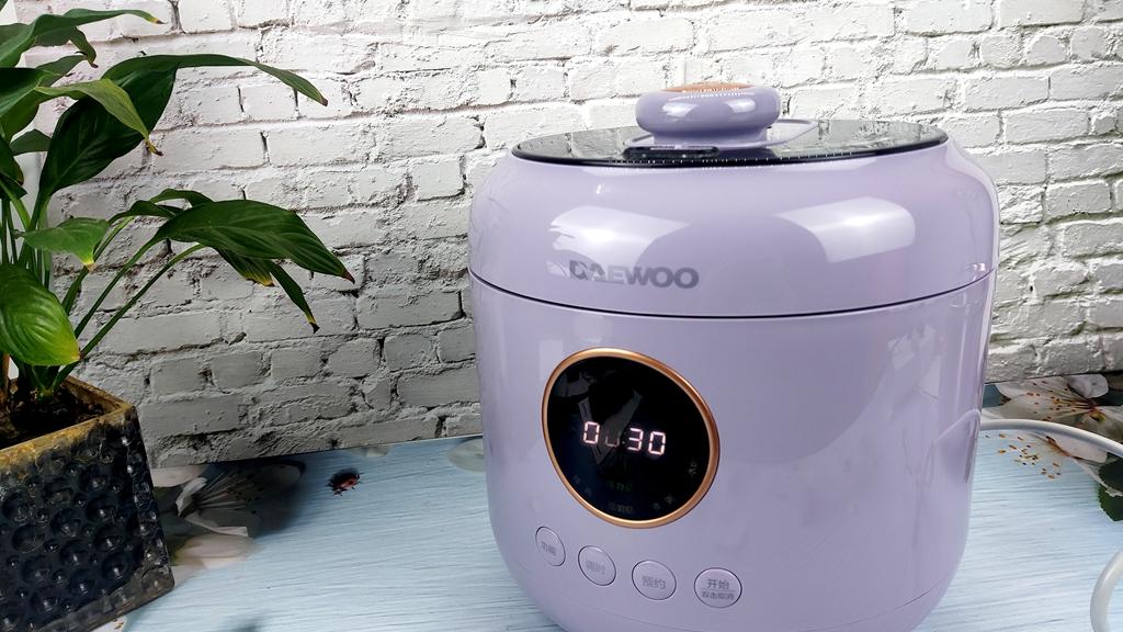 大宇电压力锅 一锅双模式 开辟厨房新物种