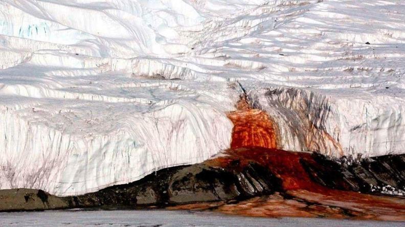 登陆火星 南极地下涌出诡异“血水”，科学家前往调查，发现了不得了的事