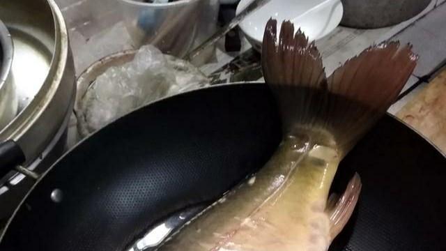 鲤鱼|三道鳞是什么鱼？好吃吗？