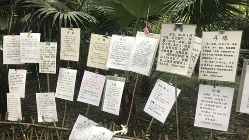 吴有情聊|高端相亲群有多厉害？女明星都进不了，揭开婚恋市场最真实一面