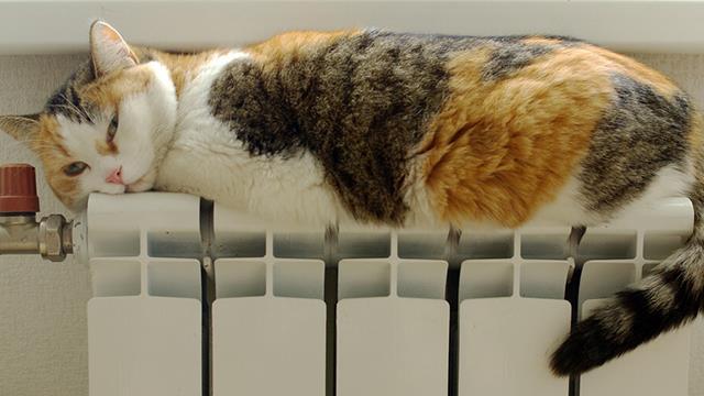 “蹭暖费”真的要来了？五年来未交过一次暖气费，以后不能蹭了？