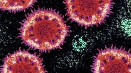 马里亚纳海沟 新冠病毒能被免疫？特殊体质实存在，科学家解释