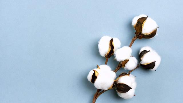 时光了了|研究发现，让男人高看的女人，大多手握三张底牌