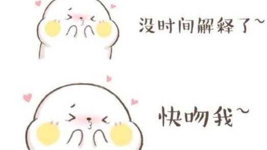 桉月|表情包：没时间解释了，有小情绪