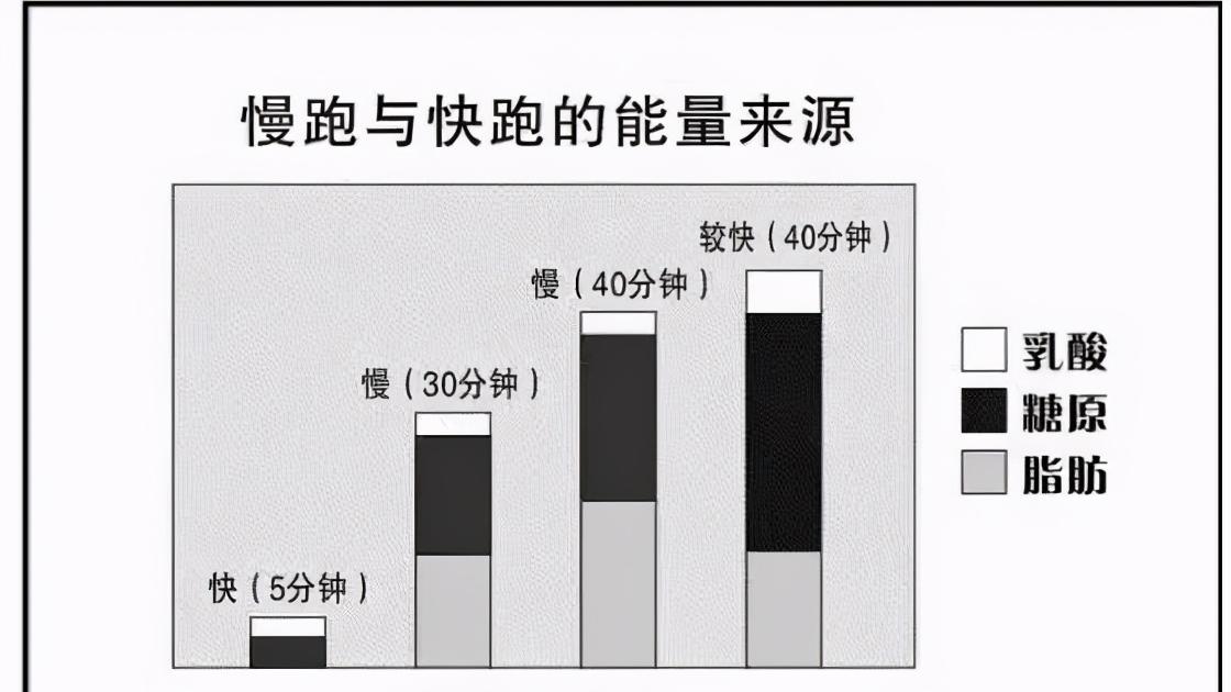 跑步|荒野健康：为什么有些中年男子每天坚持跑五公里还是大腹便便？