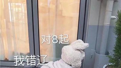 桉月|表情包：让别人马上原谅你的可爱表情