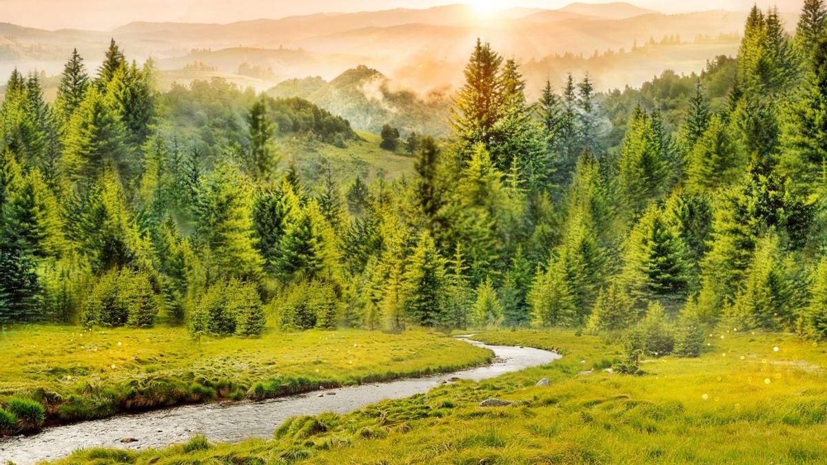 婚房被不明人士闯入砸烂，得知缘由，房主气愤不已！