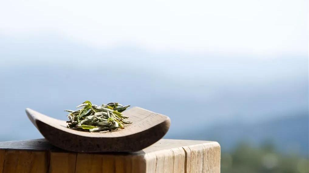 爆炸营养彭鑫蕊|喝茶养生？还要注意保质期：一年是茶，三年是药，七年为宝？