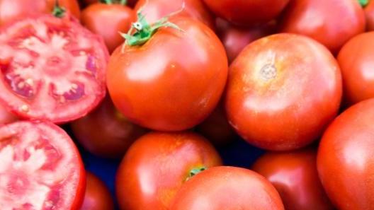 西红柿的营养费含量非常的丰富，以下是种植西红柿的注意事项！