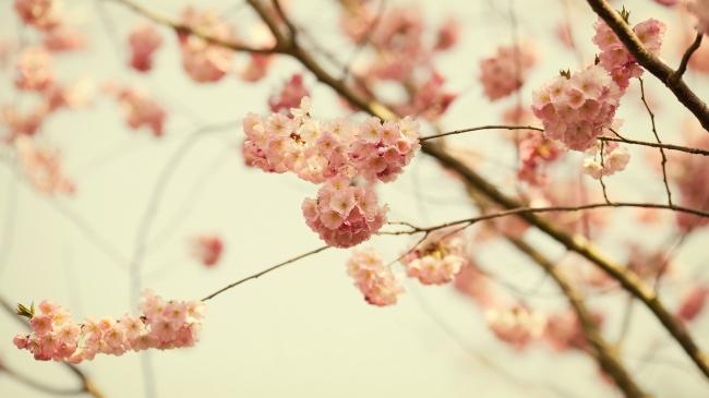 女人这样的“主动”，其实就是喜欢你的信号