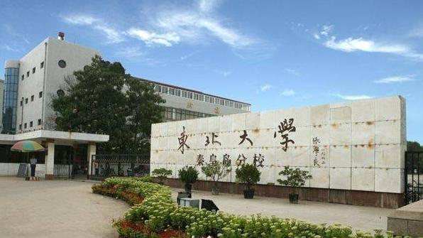 情窦初开的青春|新一轮双一流高校将揭晓：17所双非高校有进账，竞争激烈，难度大