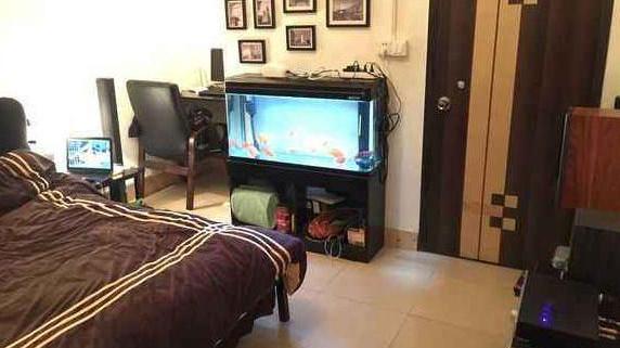 龙吟师傅来说说在卧室放鱼缸合适吗