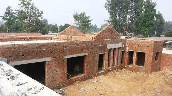 农村没人要的平房，6万块钱买下来，花2万装修，养花正好