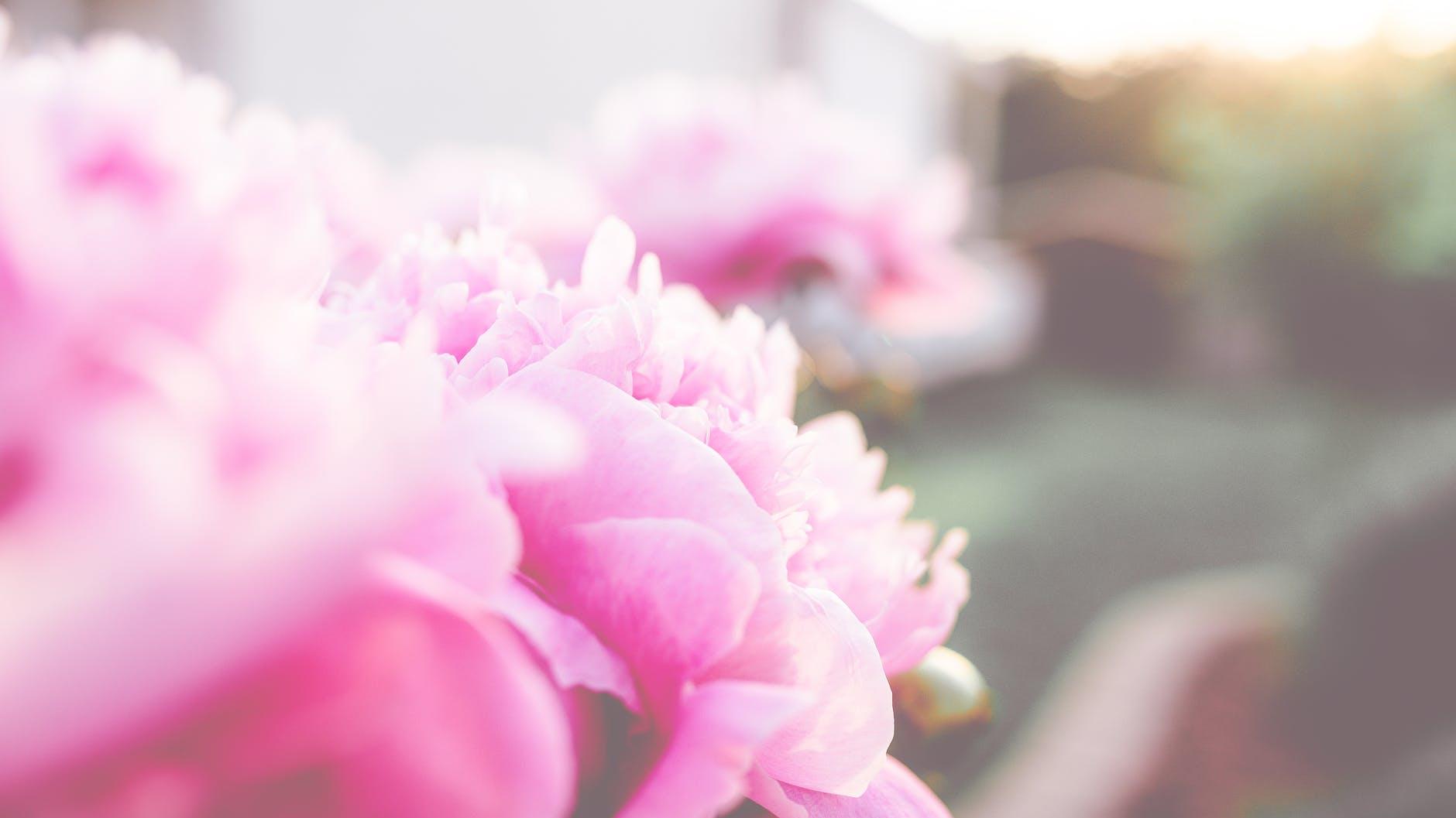 雪落无尘 提醒女人：结婚之后，宁肯缺爱，也别缺钱