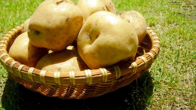 花菜|简单的美食制作：黄油土豆