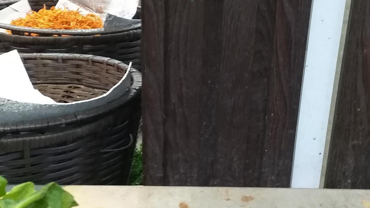 天津人|汉中：吃火锅不可或缺的青菜，价格降到了以前的三分之一