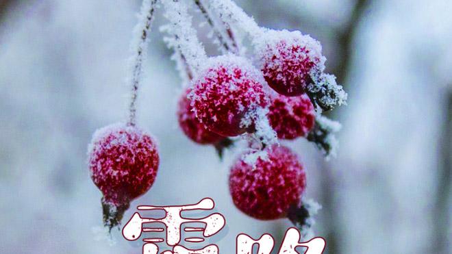 昕月蓝殇美文苑 霜降：人生从容，岁月安然