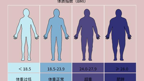 张娜拉|150-170cm的女性标准体重出来了，越接近越好，看看你要减肥吗？