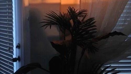 辰冉同学|1至12月专属文案