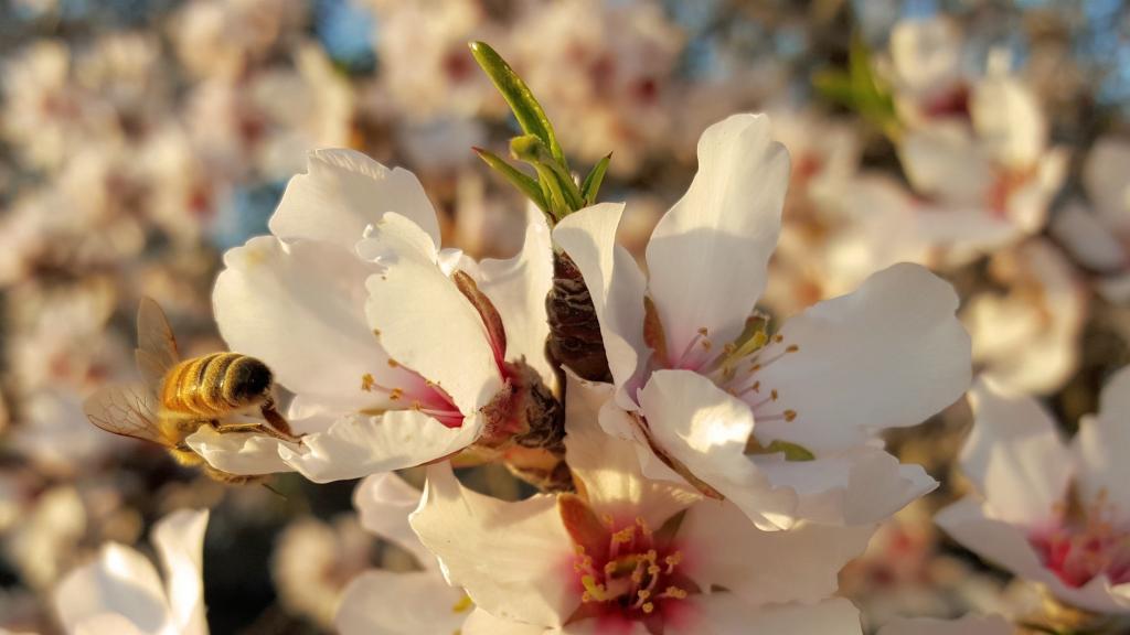 这三种女人男人一定碰不得，谁碰谁倒霉