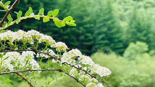 老伴儿风停夜泊聊情感|远离三种人际关系，才能真正过得好（受用的大实话）