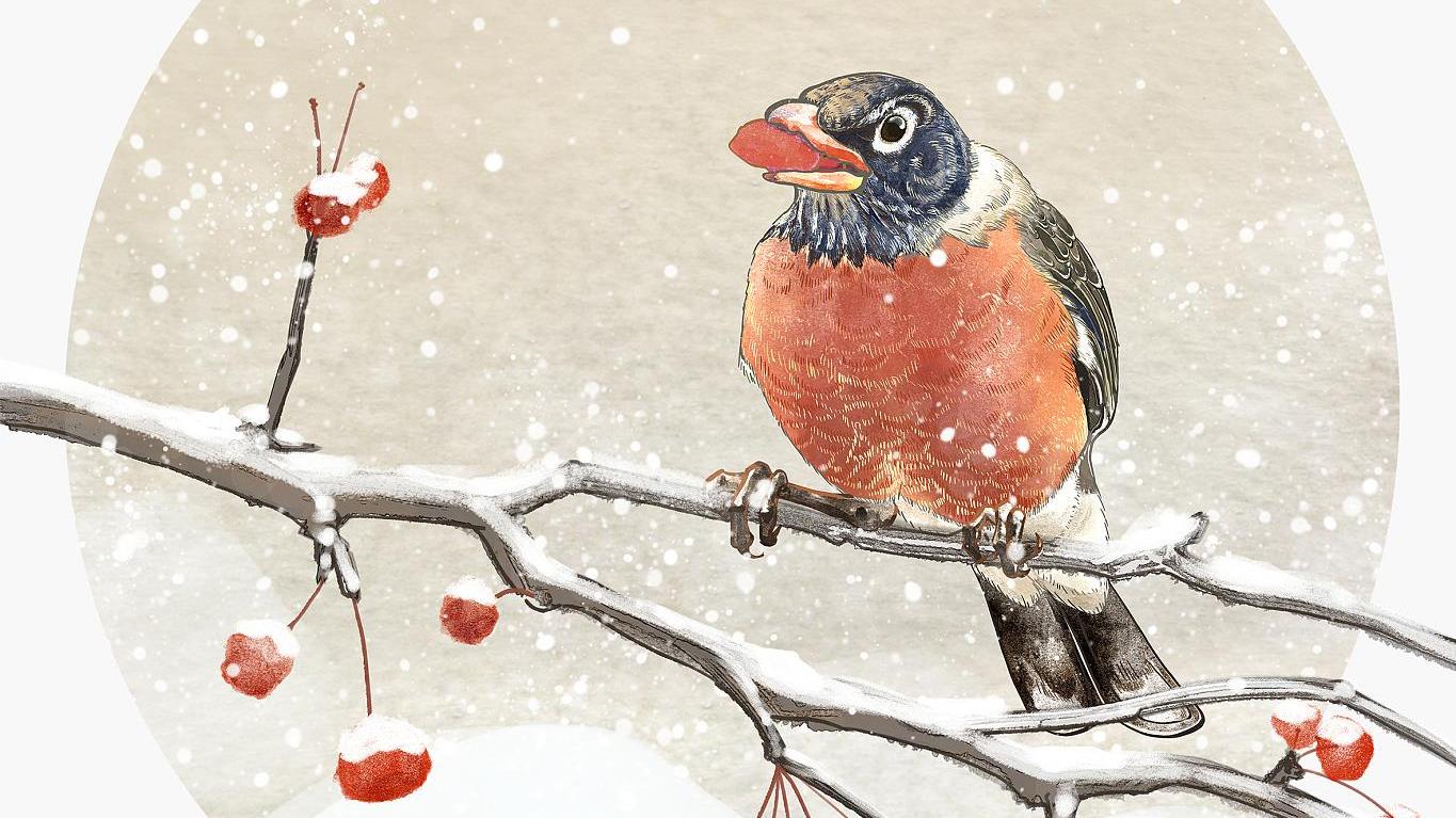 老话说：“小雪收菜，不收冻坏”，小雪节令究竟有哪些蔬菜可收？