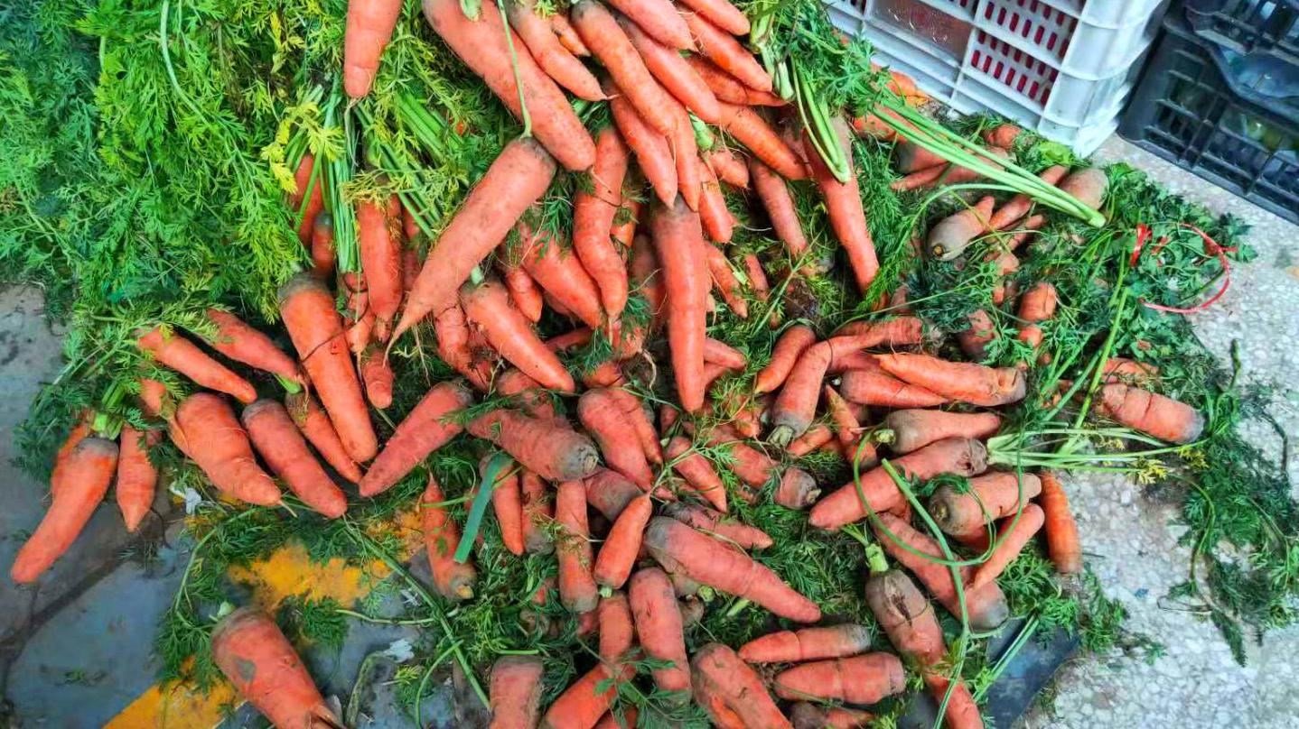 胡萝卜|秋季碰到此菜，我准买20斤！营养极高，一晒一封，炖菜炒肉特香