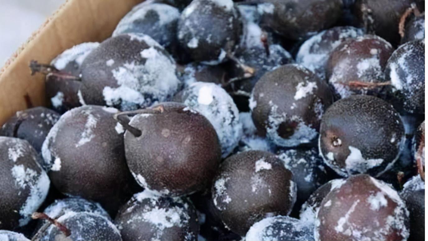 冰淇淋|这4种水果冻一冻，比冰淇淋还好吃，赌10包辣条，最后1种你没吃过