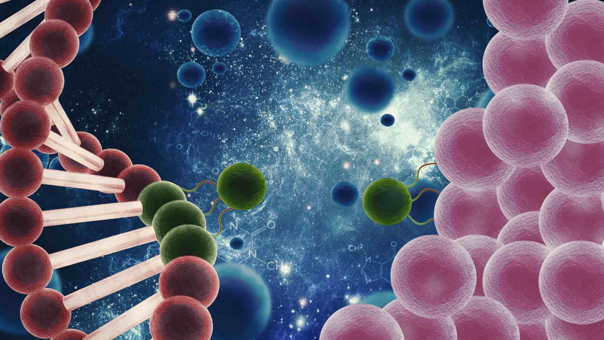 干细胞四大作用机制，为治疗Ⅰ型和Ⅱ型糖尿病带来新途径