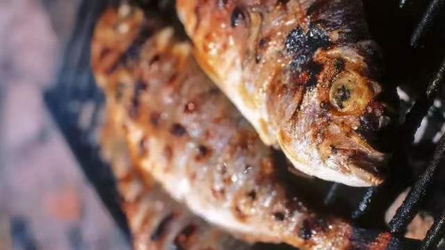 平菇|万州烤鱼的美味史