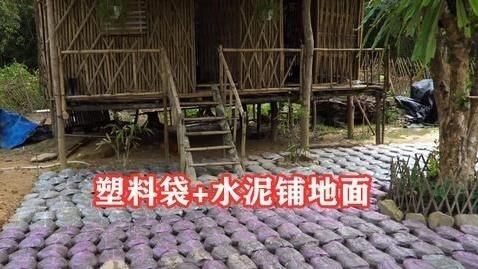 自己动手捯饬院子，塑料袋里灌水泥，铺满整个地面，比青石板结实